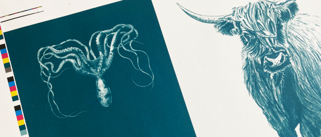 Druckbogen formatio naturalis