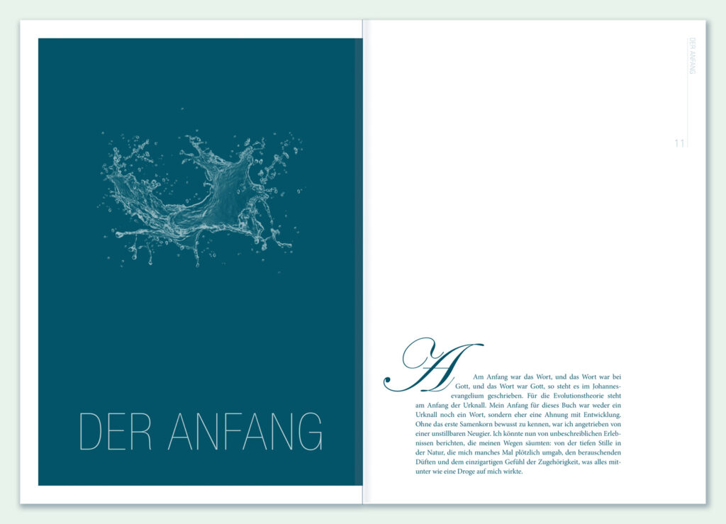 Der Anfang formatio naturalis von Sybs Bauer, keaedition