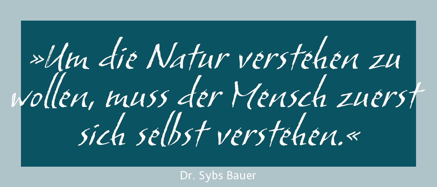 Zitat von Dr. Sybs Bauer
