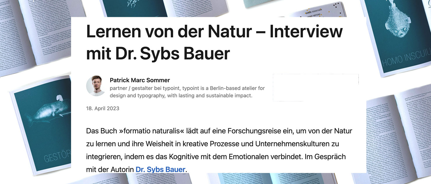 Interview mit Sybs Bauer