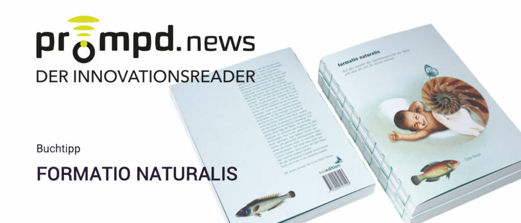 Rezession formatio naturalis