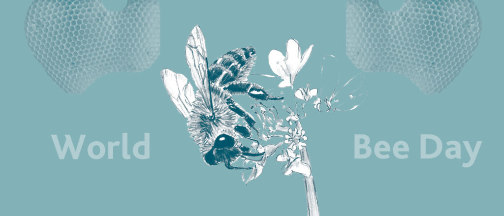 weltbienentag world bee. day 2023