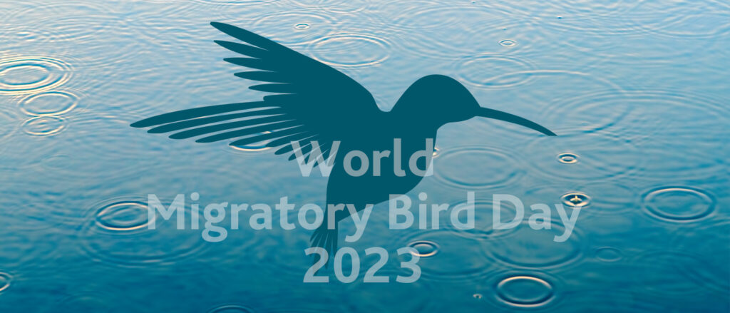 weltzugvogeltag 2023