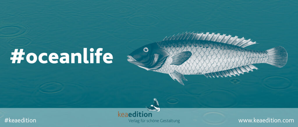 world ocean day 2023