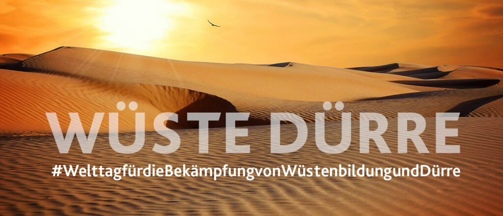 Welttag der Bekämpfung der Wüsten und Dürre 2023