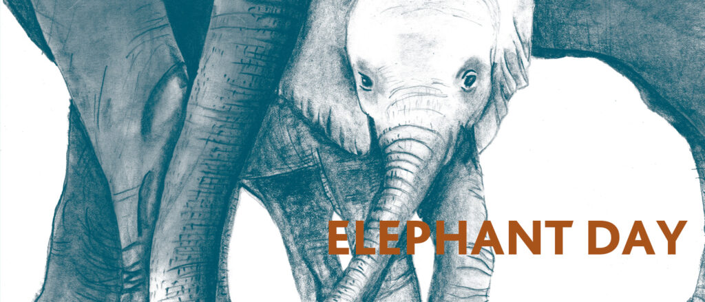 ELEPHANT DAY 2023