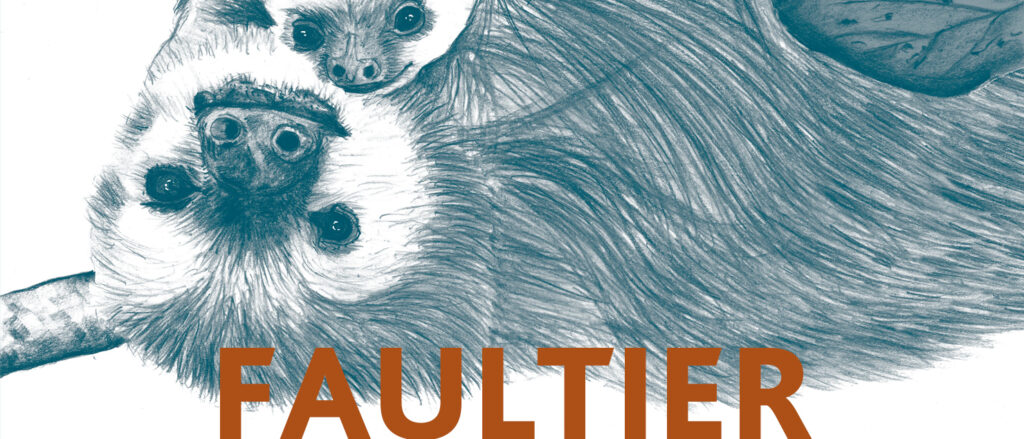 kopfüber die Faultiere