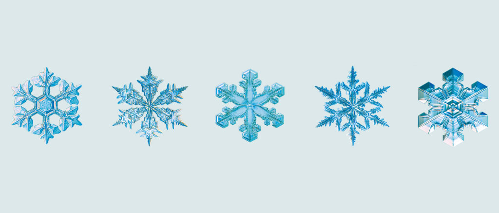schneekristall