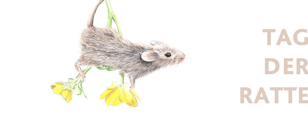 tag der ratte