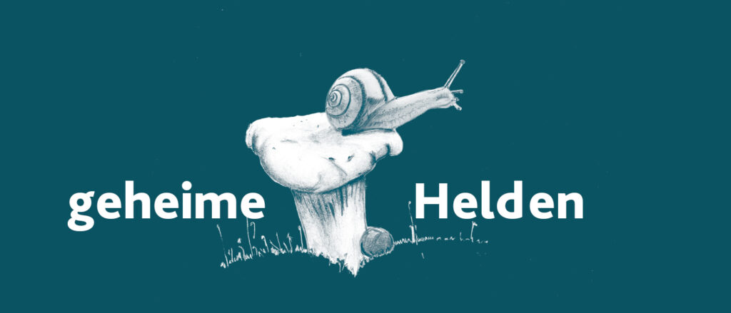 Pilze, die geheimen helden